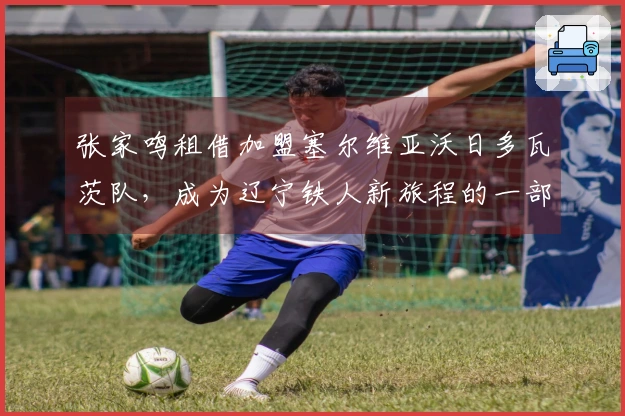 张家鸣租借加盟塞尔维亚沃日多瓦茨队，成为辽宁铁人新旅程的一部分