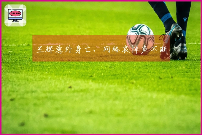 王辉意外身亡，网络哀悼声不断